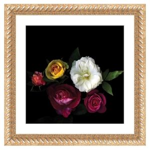 iCANVAS A Rose Festival By Magda Indigo Wall Art